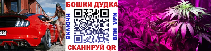 Магазин наркотиков Ноябрьск A-PVP ГАШИШ Канабис Cocaine