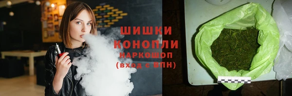 шишки Верхний Тагил