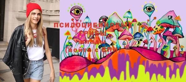 прущий лед Козельск