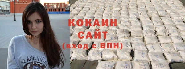 шишки Верхний Тагил